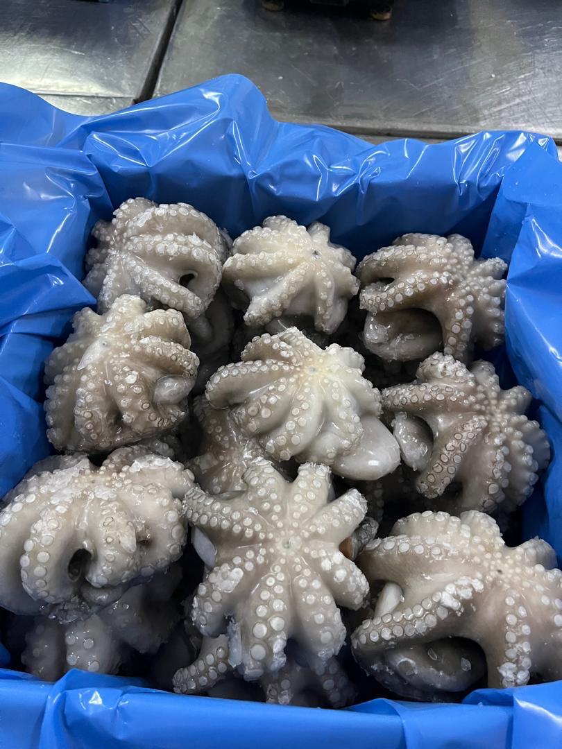 DyreneExport slider 3